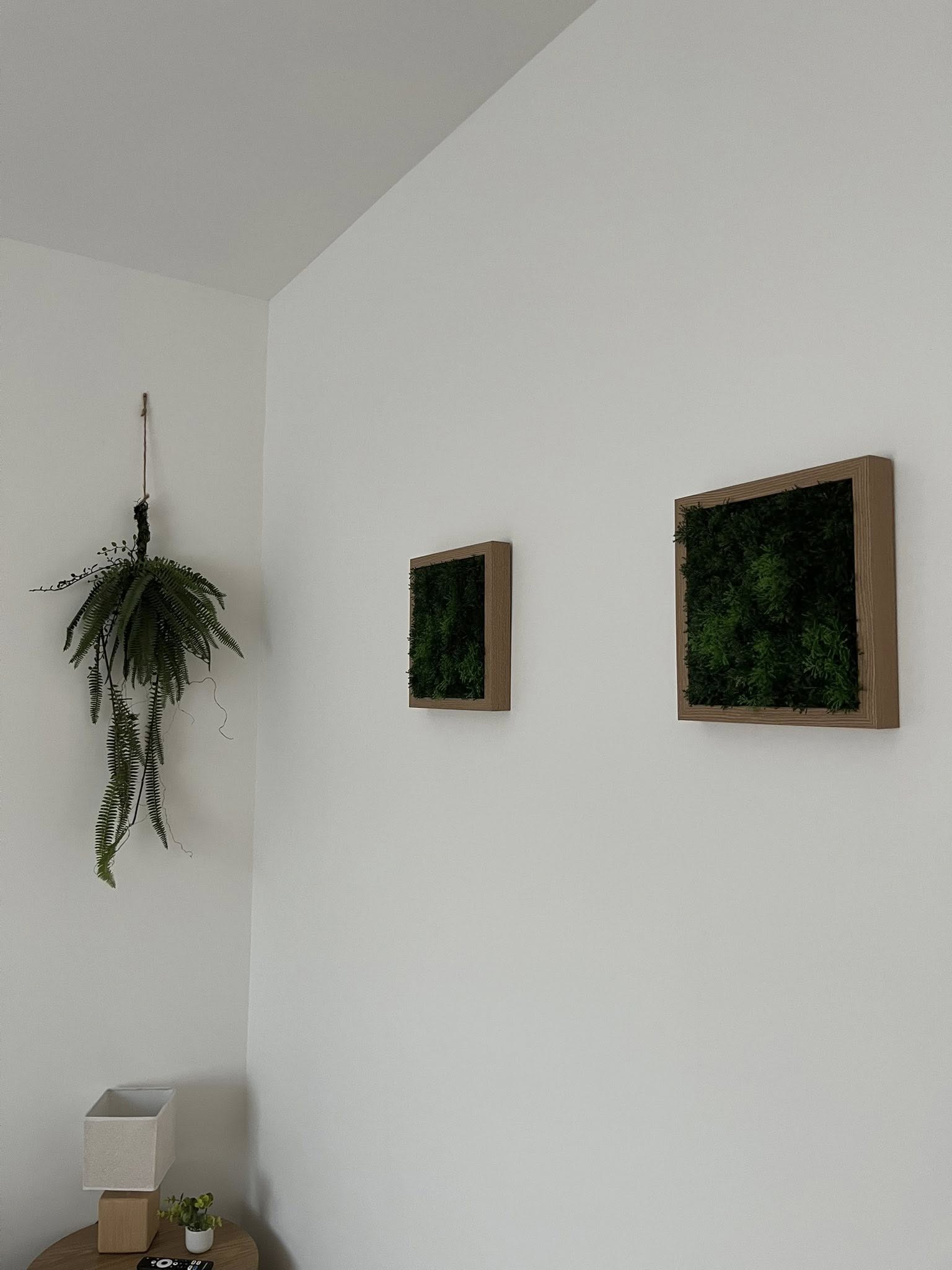 Mohaképek és lógó növények felfúrása