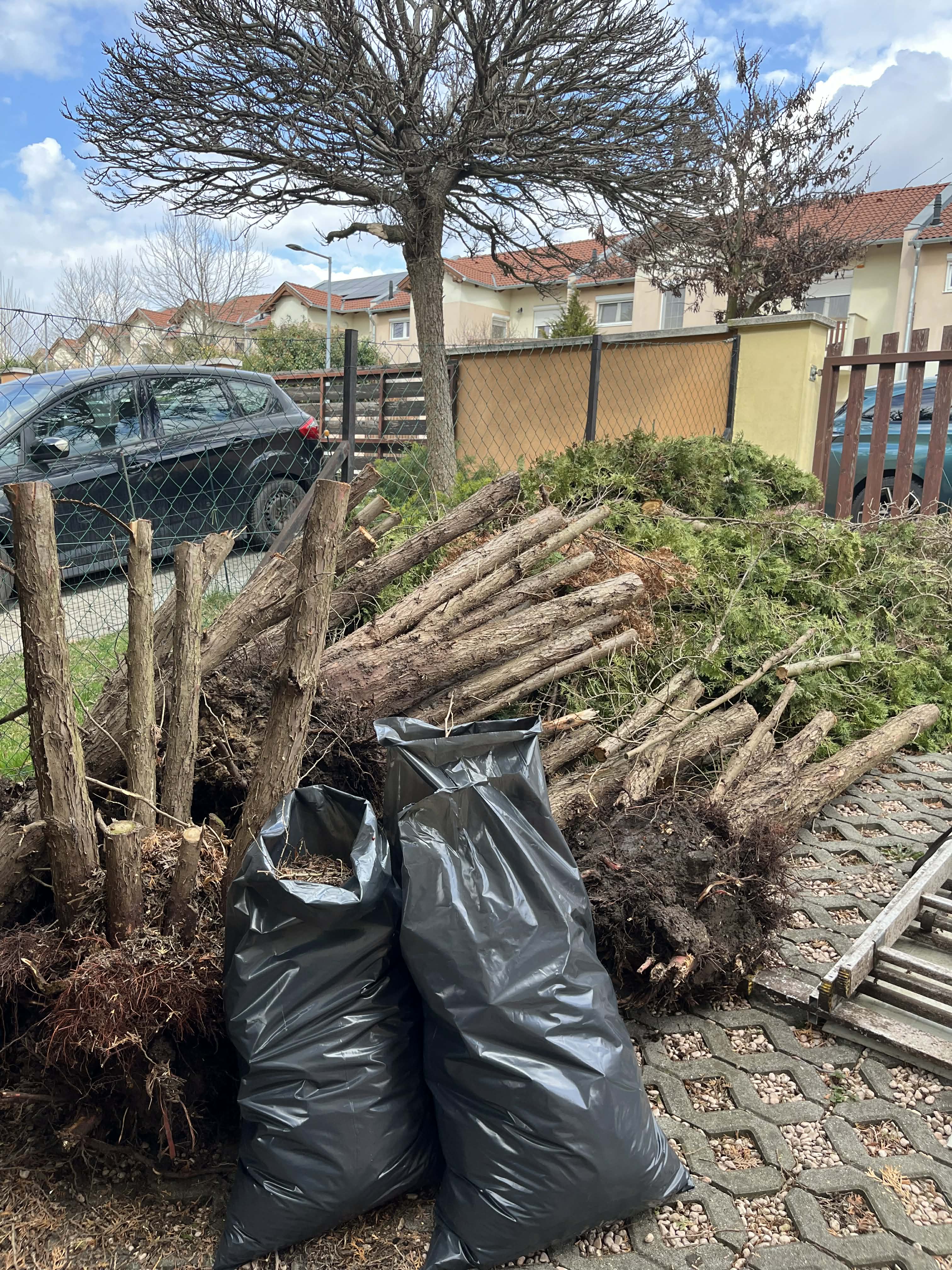 Zöldhulladék zsákolva