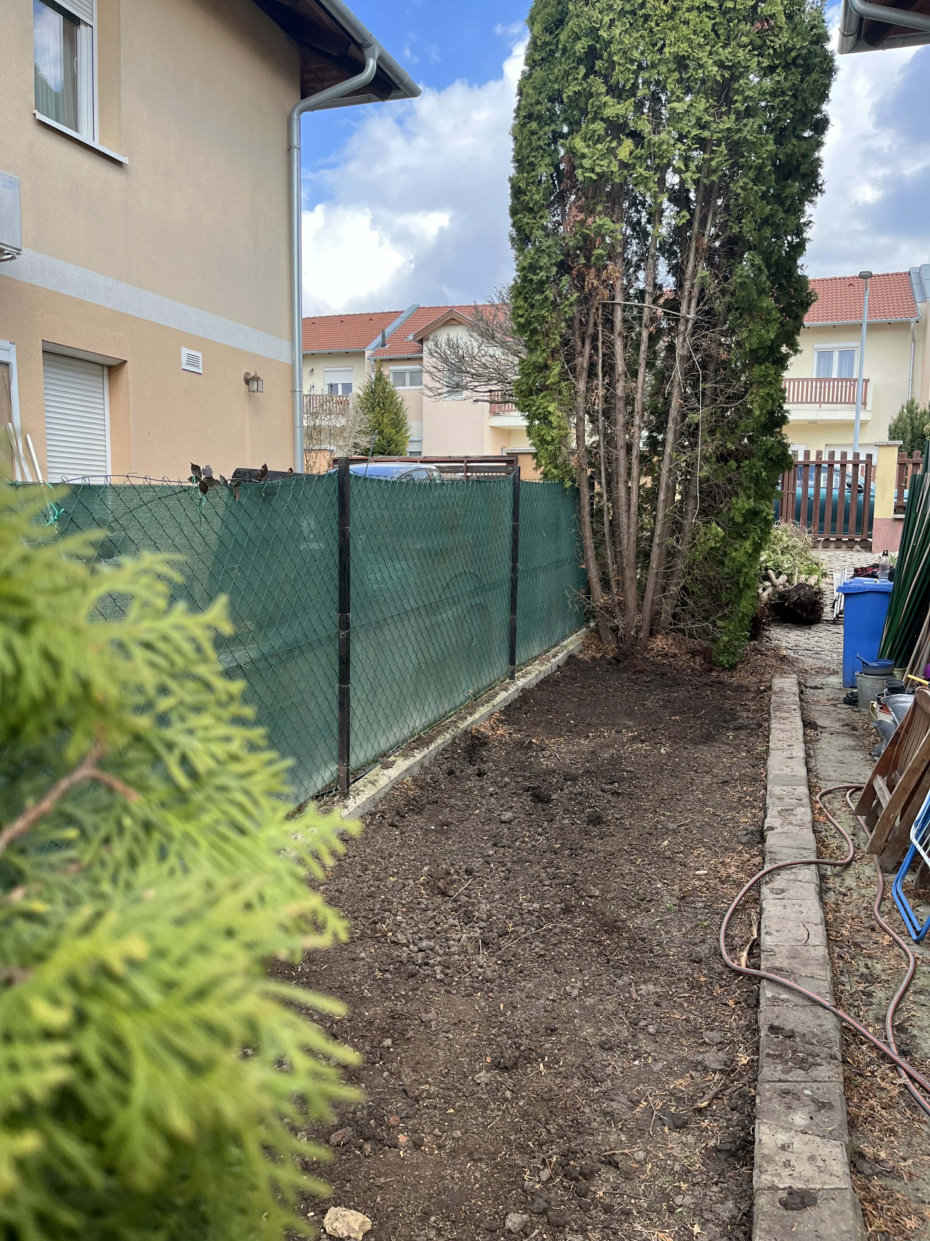 Megtisztított terület 1